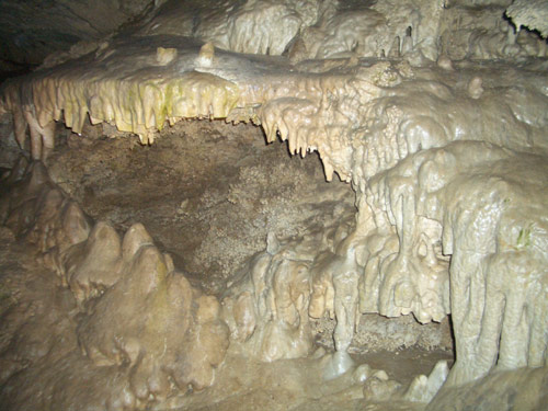 In den Oregon Caves Foto