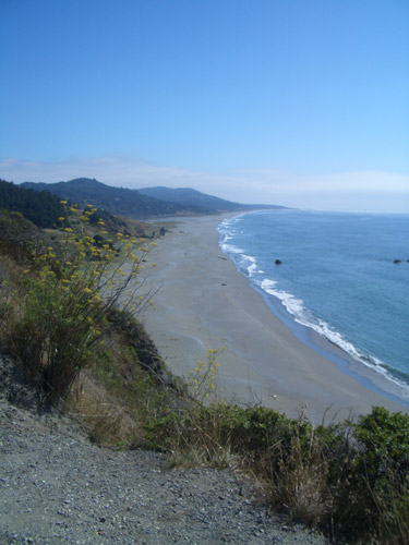 Ausblick bei Gold Beach, OR Foto