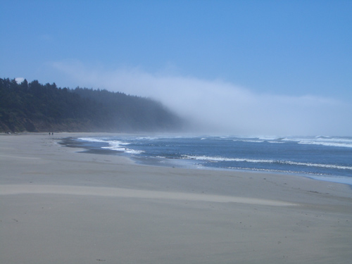 Küstennebel in Oregon Foto