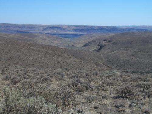 Ginkgo Forest State Park Foto