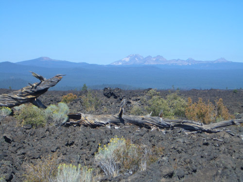 Lava Field mit Cascade Mountains Foto