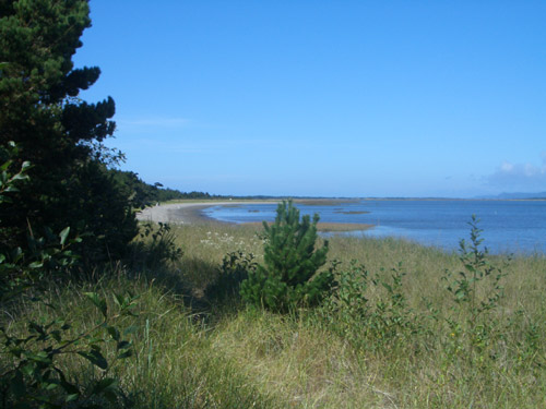 Leadbetter Point State Park Foto
