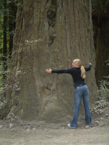 Anje und die Redwoods... Foto