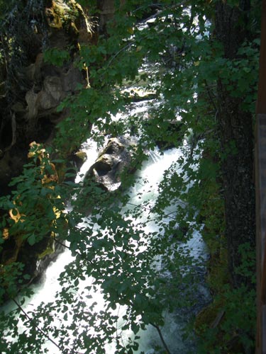 Rogue River Gorge Foto