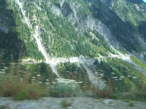 Im Mt. Rainier National Park Foto